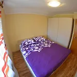 Ribaricevi Dvori Apartment
